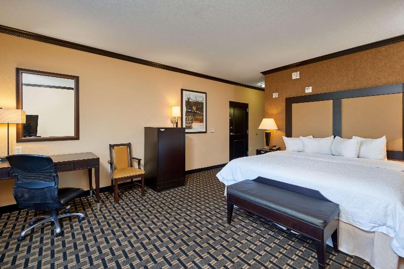 اتاق استاندارد با تخت بزرگ, Hampton Inn & Suites Longview North