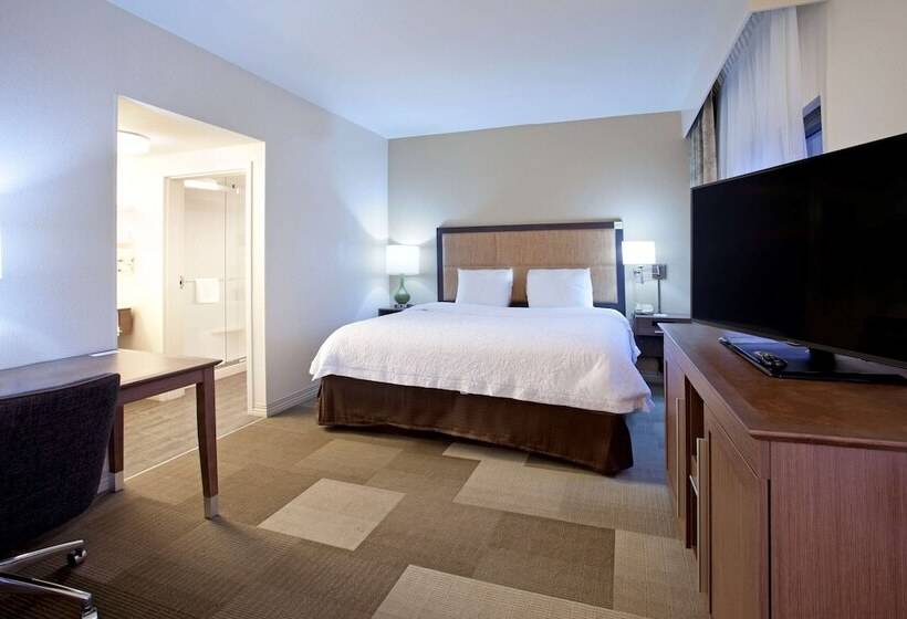 Standard Room Double Bed, Hampton Inn And Suites Nashville Smyrna