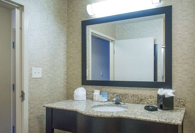 Quarto standard, Hampton Inn Greenville