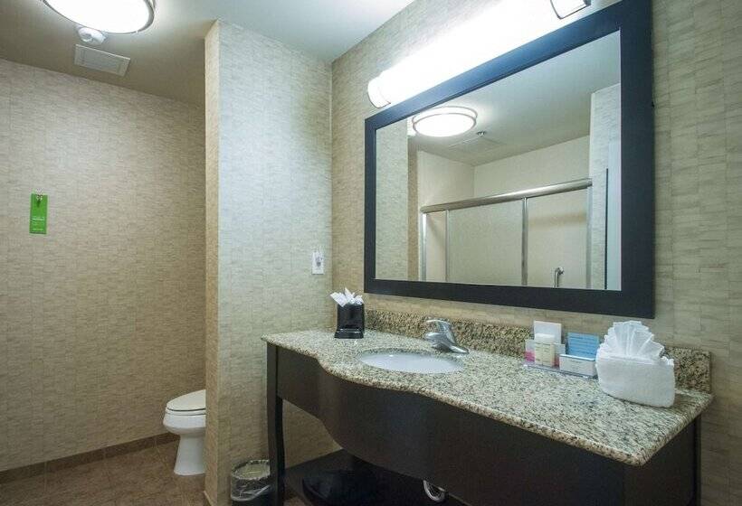 Quarto standard, Hampton Inn Greenville