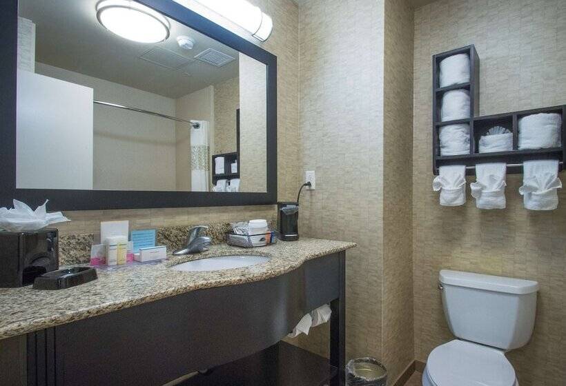 Quarto standard, Hampton Inn Greenville