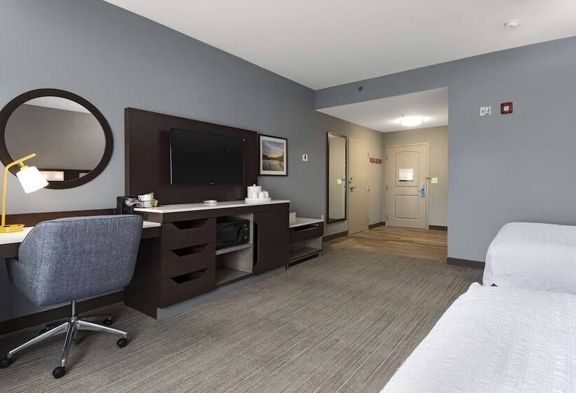 Quarto standard, Hampton Inn Greenville