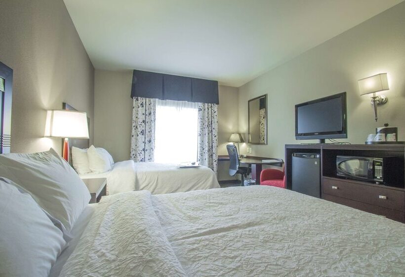 Quarto standard, Hampton Inn Greenville