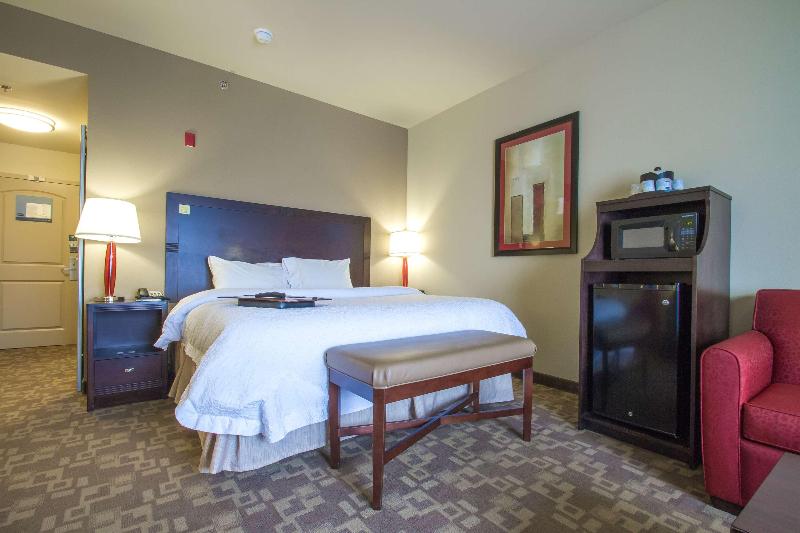 اتاق استاندارد با تخت بزرگ, Hampton Inn Greenville