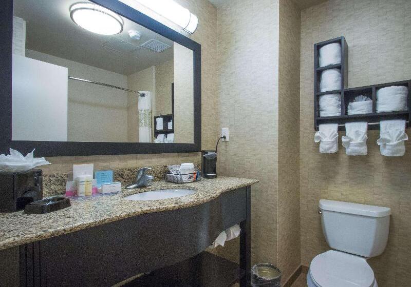 اتاق استاندارد با تخت بزرگ, Hampton Inn Greenville