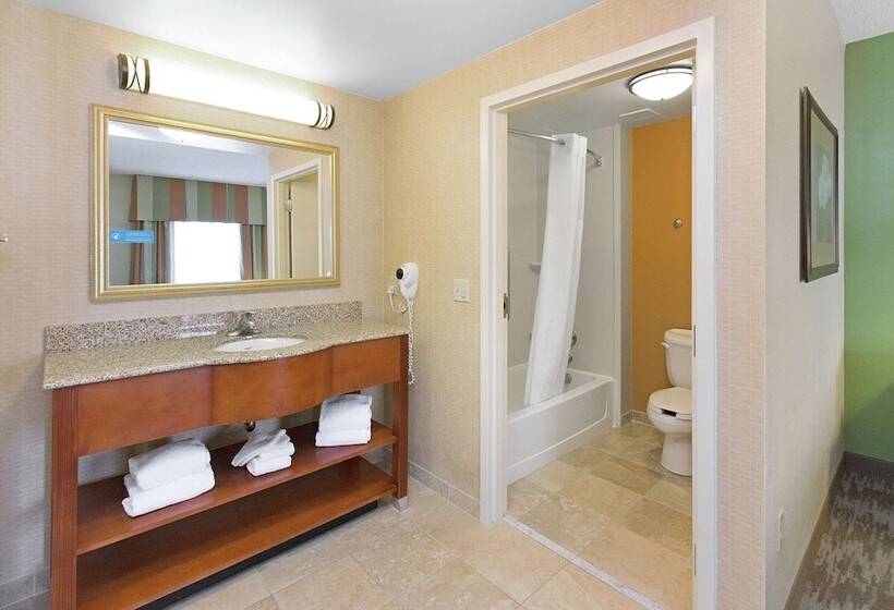 غرفة قياسية سرير مزدوج لذوى الإحتياجات الخاصة, Hampton Inn & Suites Blairsville