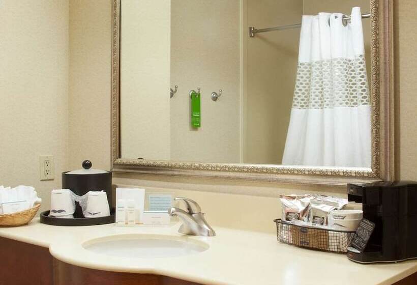 Standard Room, Hampton Inn & Suites Brownsville