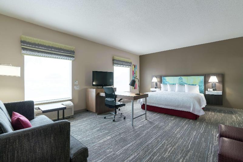 استودیو استاندارد با تخت کینگ, Hampton Inn & Suites Lake City
