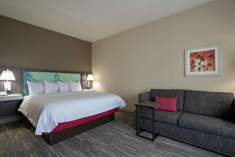 استودیو استاندارد با تخت کینگ, Hampton Inn & Suites Lake City