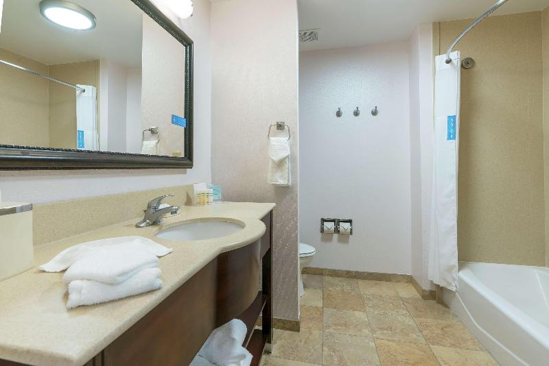 استودیو استاندارد با تخت کینگ, Hampton Inn & Suites Lake City