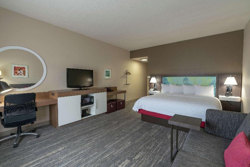 استودیو استاندارد با تخت کینگ, Hampton Inn & Suites Lake City