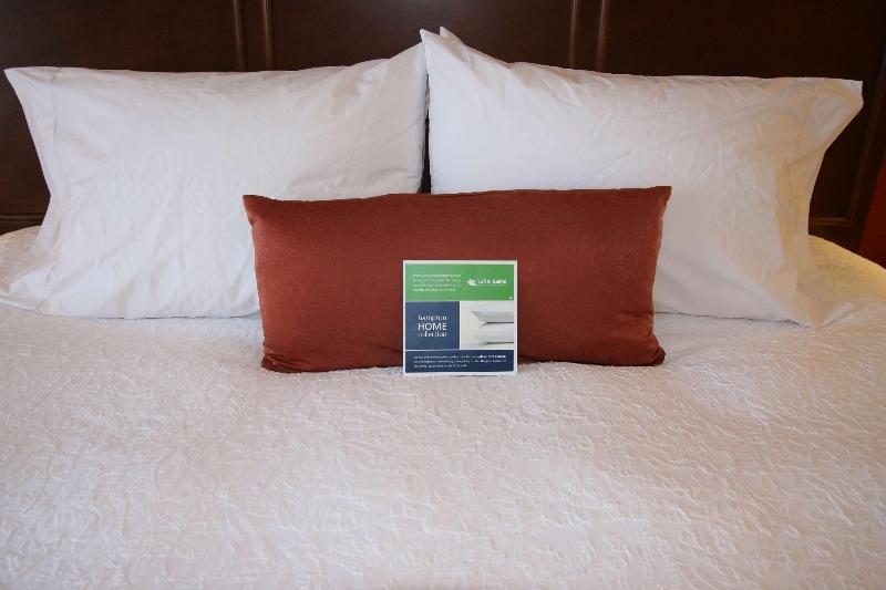 استودیو استاندارد با تخت کینگ, Hampton Inn & Suites St. Louis/south I55