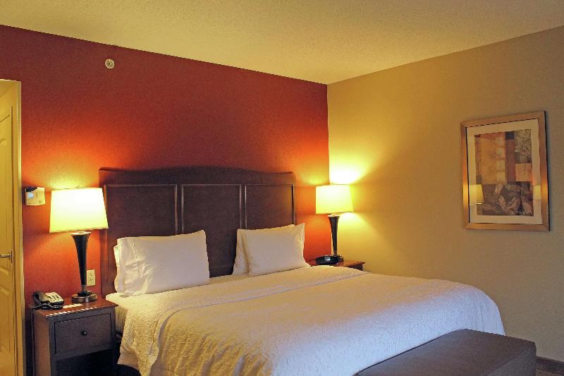اتاق استاندارد با تخت بزرگ, Hampton Inn & Suites St. Louis/south I55