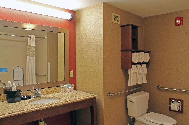 اتاق استاندارد با تخت بزرگ, Hampton Inn & Suites St. Louis/south I55