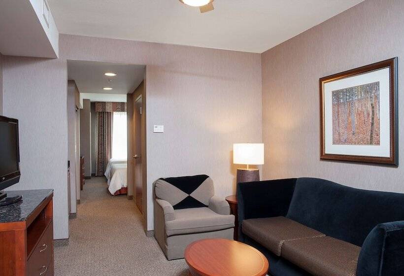 سوییت جونیور, Hilton Garden Inn Columbus/edinburgh