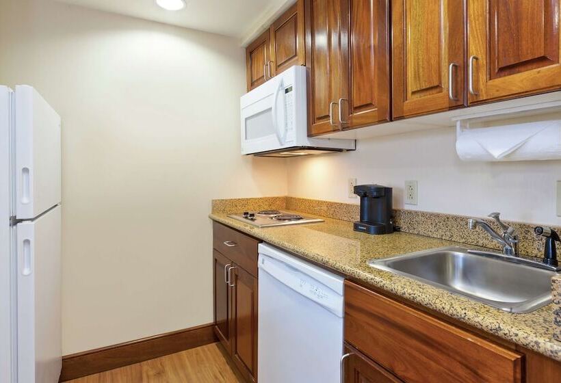سوییت, Homewood Suites By Hilton Chesapeakegreenbrier