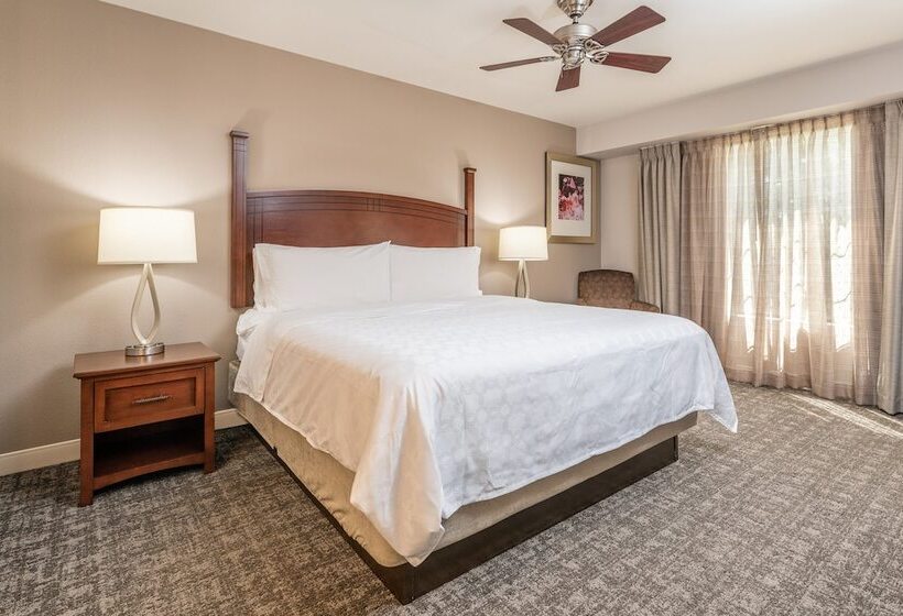 Suite, Staybridge Suites North Charleston