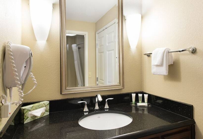 Suite, Staybridge Suites North Charleston