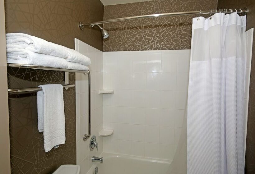 Standard Studio, Springhill Suites By Marriott Charleston North