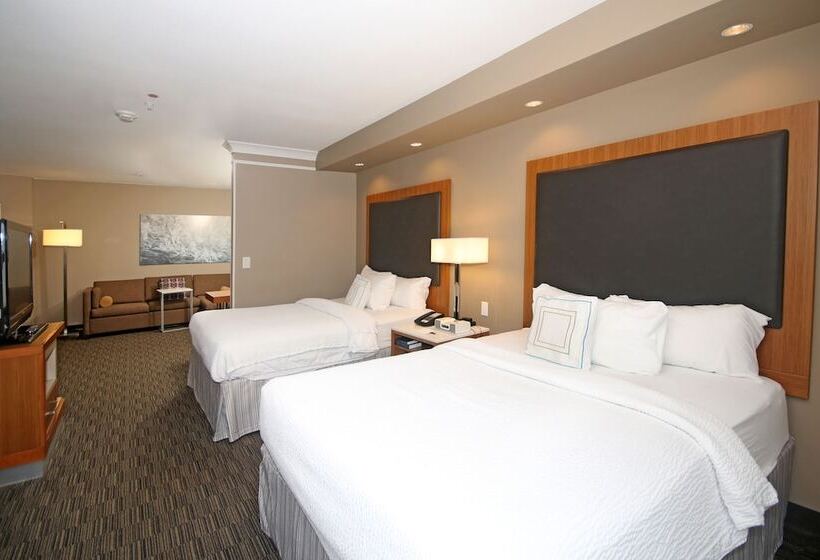 Standard Studio, Springhill Suites By Marriott Charleston North