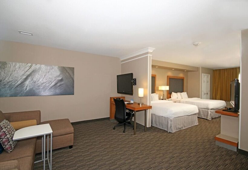 Standard Studio, Springhill Suites By Marriott Charleston North