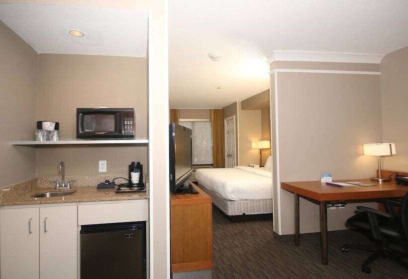 Standard Studio Double Bed, Springhill Suites By Marriott Charleston North