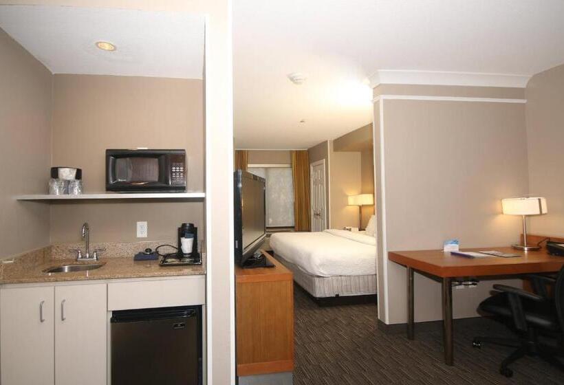 استودیو استاندارد با تخت کینگ, Springhill Suites By Marriott Charleston North