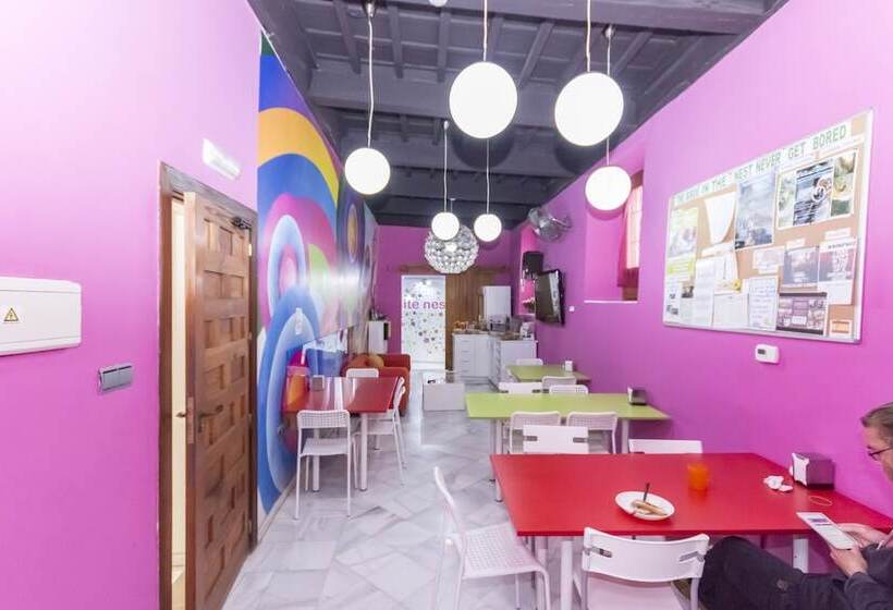 اتاق استاندارد, White Nest Hostel