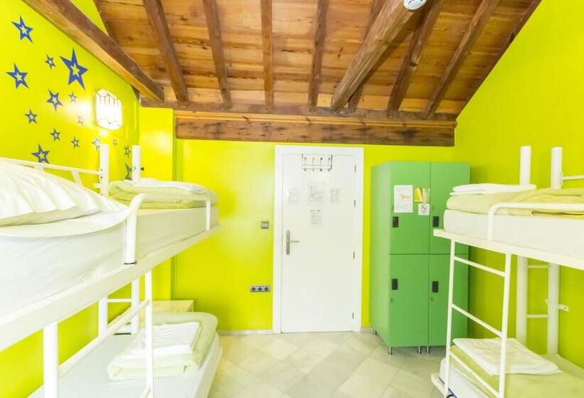 اتاق استاندارد چهار تخته, White Nest Hostel