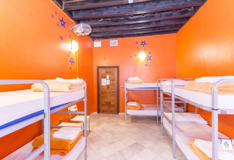 Chambre Familiale, White Nest Hostel