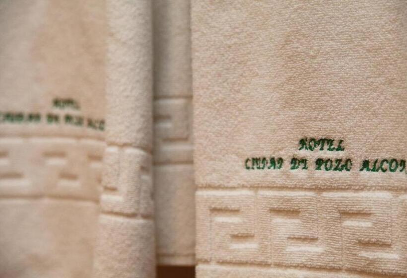 اتاق استاندارد یک نفره, Ciudad Pozo Alcon