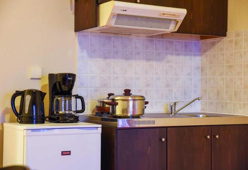 آپارتمان 1 خوابه با چشم‌انداز دریا, Eurohotel Theo