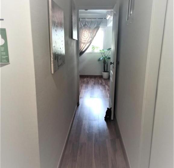 Appartement Supérieur 1 Chambre, Parque Das Amendoeiras