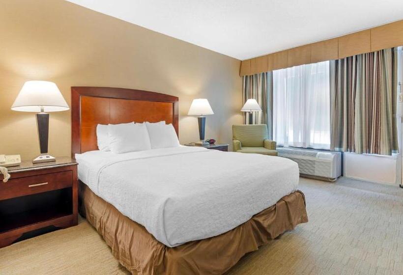 Standard Room Queen Bed Adapted for people with reduced mobility, Best Western Lexington Inn