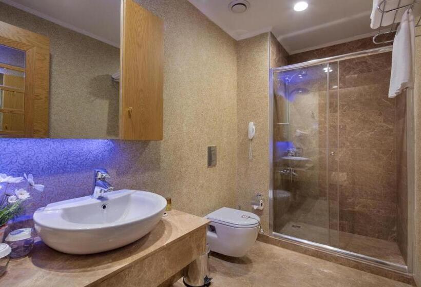 اتاق استاندارد اینتریور, Granada Luxury Okurcalar