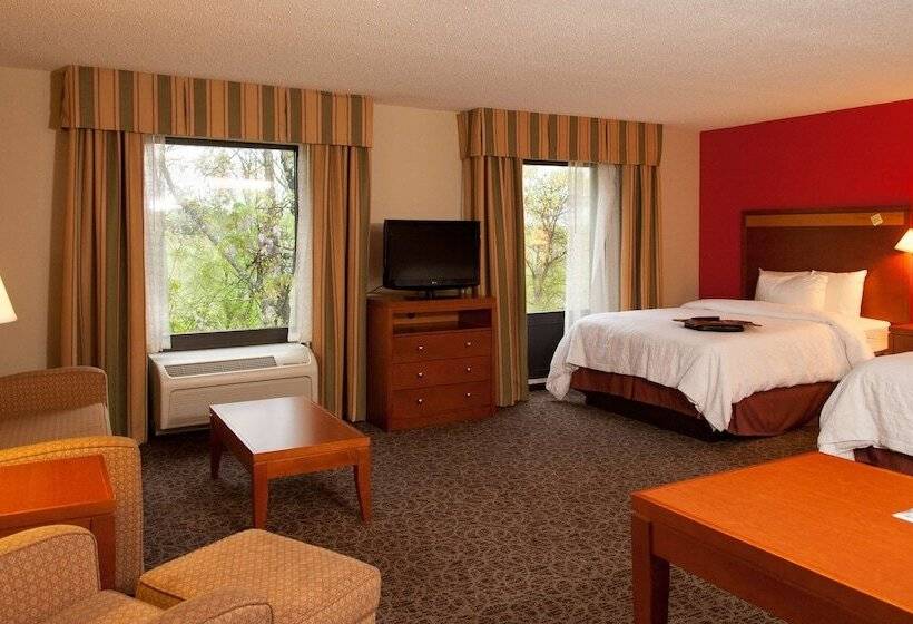 سوییت, Hampton Inn Montgomery South Airport