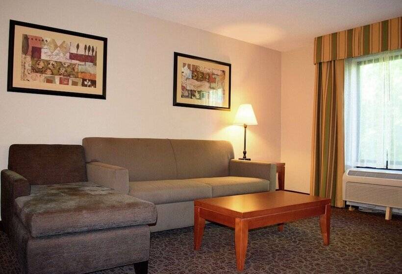 سوییت, Hampton Inn Montgomery South Airport
