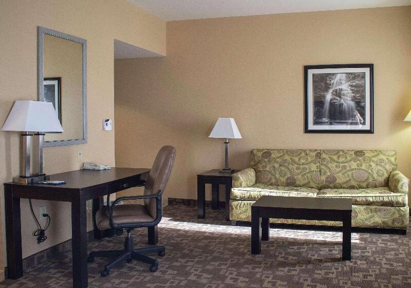 استودیو استاندارد با تخت کینگ, Hampton Inn & Suitesknoxville/north I75