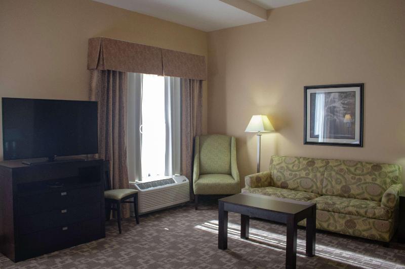 استودیو استاندارد با تخت کینگ, Hampton Inn & Suitesknoxville/north I75