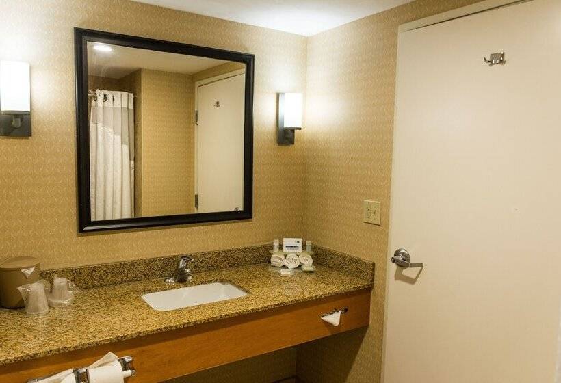 Quarto Estandar, Holiday Inn Express Saltillo Zona Aeropuerto