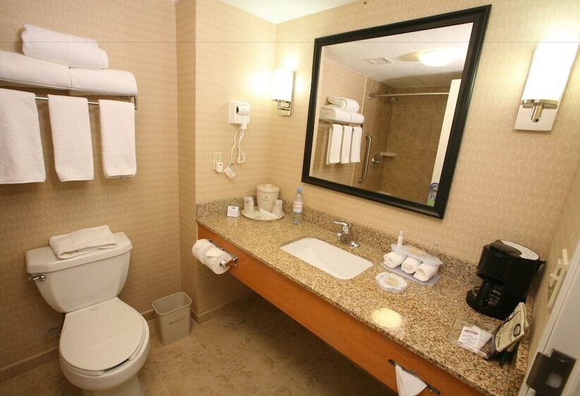 اتاق استاندارد, Holiday Inn Express Saltillo Zona Aeropuerto, An Ihg