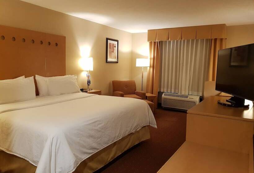 Chambre Standard, Holiday Inn Express Saltillo Zona Aeropuerto