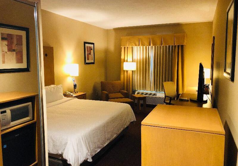 اتاق استاندارد با تخت بزرگ, Holiday Inn Express Saltillo Zona Aeropuerto, An Ihg