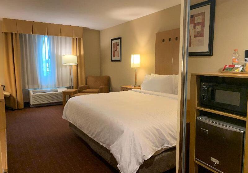 اتاق استاندارد با تخت بزرگ, Holiday Inn Express Saltillo Zona Aeropuerto, An Ihg