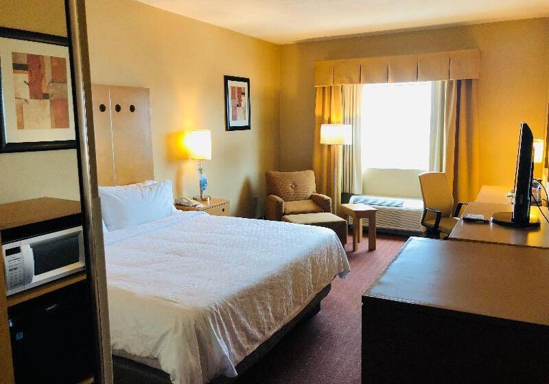 اتاق استاندارد با تخت بزرگ, Holiday Inn Express Saltillo Zona Aeropuerto, An Ihg