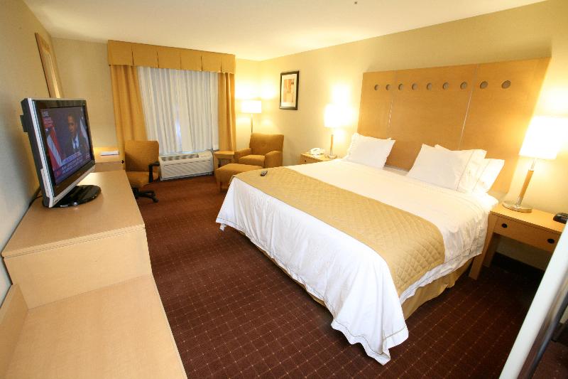 اتاق استاندارد با تخت بزرگ, Holiday Inn Express Saltillo Zona Aeropuerto, An Ihg