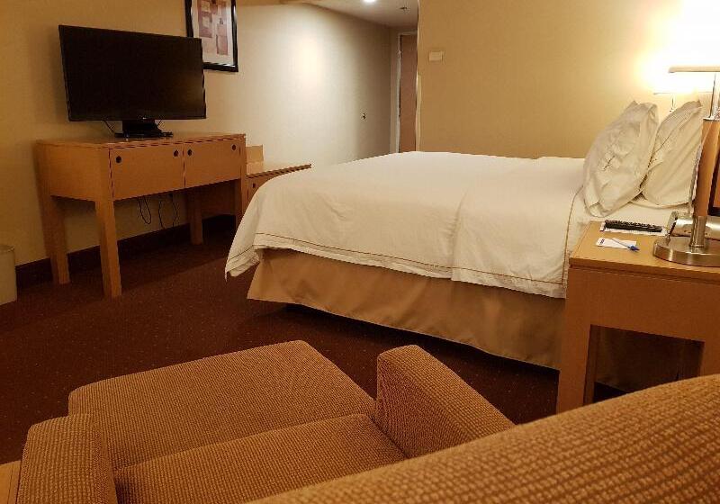 اتاق استاندارد با تخت بزرگ, Holiday Inn Express Saltillo Zona Aeropuerto, An Ihg
