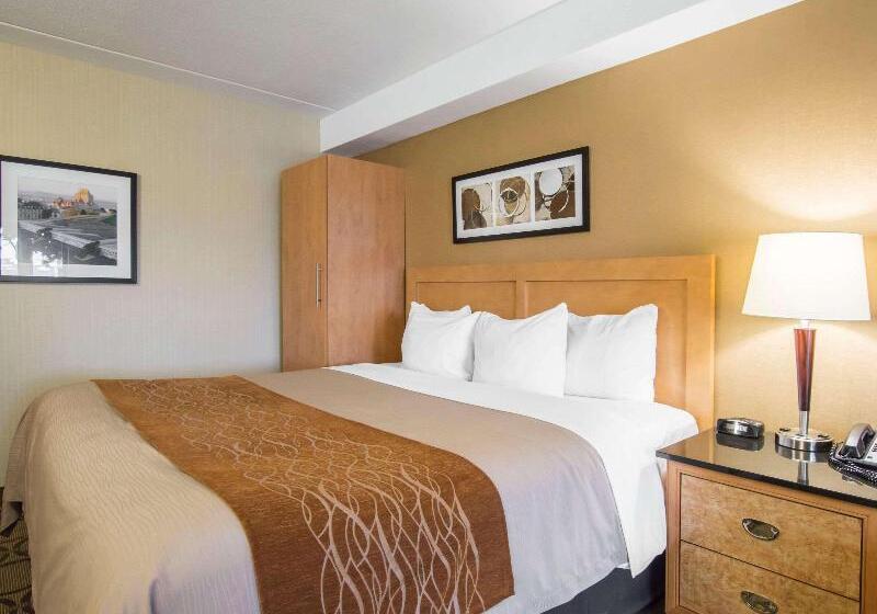 اتاق استاندارد, Jinjiang Metropolo Hotel Classiq Ymca People Square