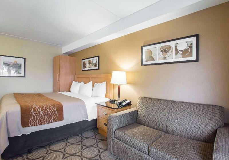 اتاق استاندارد, Jinjiang Metropolo Hotel Classiq Ymca People Square