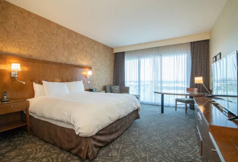 اتاق اجرایی, Miyako Hybrid Hotel Torrance